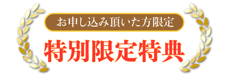 特別限定特典